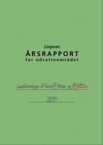 aarsrapport-udsatte_2014_forside